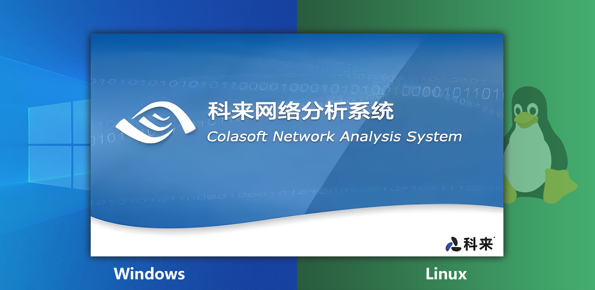 科来网络分析系统(csnas)